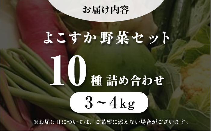 横須賀産野菜セット 10種 詰め合わせ【横須賀商工会議所 おもてなしギフト事務局（三浦半島直売所）】 [AKES003]