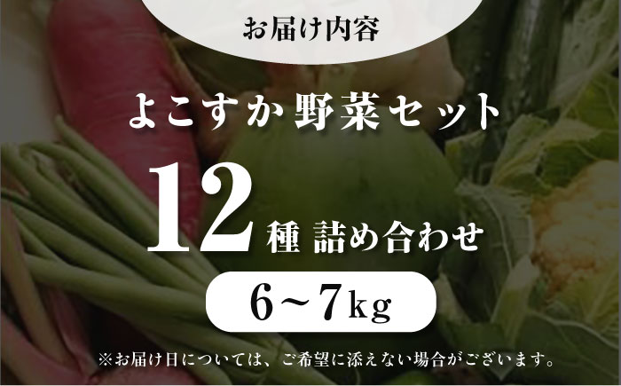 横須賀産野菜セット 大盛り 12種 詰め合わせ【横須賀商工会議所 おもてなしギフト事務局（三浦半島直売所）】 [AKES004]