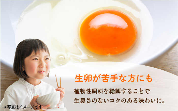 餌にこだわった三浦半島産赤たまご　Lサイズ10kg（約150個）　【横須賀商工会議所　おもてなしギフト事務局（岩沢ポートリー）】 [AKET006]