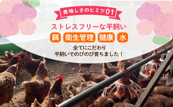 飼い方にこだわり餌にこだわった「姫様のたまご」　20個　【横須賀商工会議所　おもてなしギフト事務局（岩沢ポートリー）】 [AKET007]