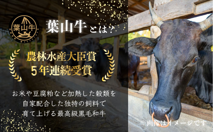 葉山牛コロッケ　コロッケ　牛コロッケ　人気 （5個入り×4袋）　【JAよこすか葉山】 [AKFO010]