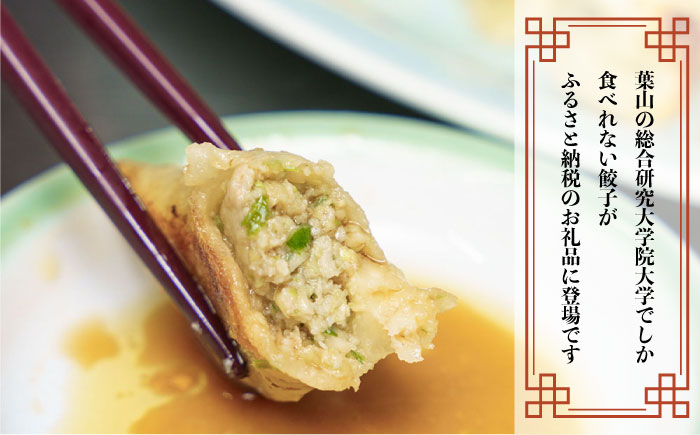 来々軒の銀（しろがね）餃子　手作りセット（約40個分） 【横須賀商工会議所　おもてなしギフト事務局（来々軒）】 [AKFQ004]