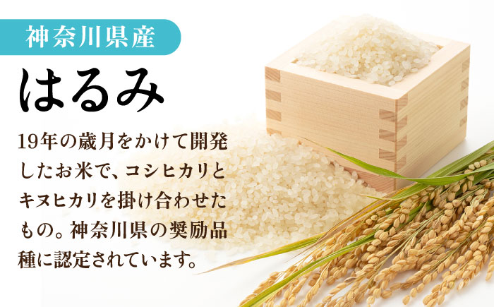 【数量限定25セット】令和6年産 お米 はるみ 10kg【株式会社ヨコショク】 [AKGC002]