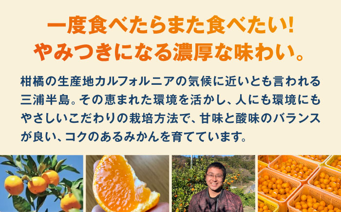 【年内発送の受付は12月22日まで！】温州みかん LLサイズ 約7kg 津久井浜みかん 蜜柑 ミカン 果物 柑橘 フルーツ 横須賀 年内発送【志村農園】 [AKGH004-2]