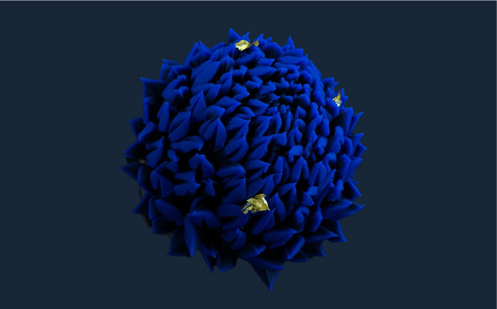 蒼炎　針切菊　上生菓子【有限会社いづみや】 [AKGK018]