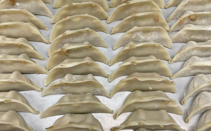 冷凍餃子 50個セット 【光楽】 [AKGZ001]