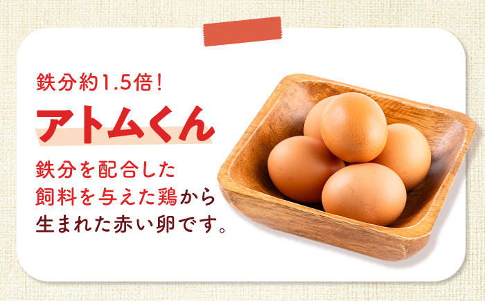【年内発送の受付は12月18日まで！】安田養鶏場の卵 3種セット しおさい アトムくん タフラン 30個入り（各10個入り） 横須賀市 産地直送 割れ保証付き たまご 黄身 濃厚 卵 玉子 タマゴ 鶏卵 年内発送【安田養鶏場】 [AKHN006]