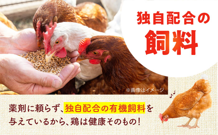 【全3回定期便】安田養鶏場の卵 アトムくん 30個入り 横須賀市 産地直送 割れ保証付き たまご 黄身 濃厚 卵 玉子 タマゴ 鶏卵 【安田養鶏場】 [AKHN009]