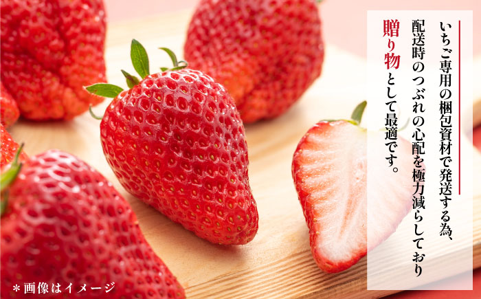 【先行予約】【数量限定100セット】　いちご　2パック 約900g　【いちごはうす西脇】 [AKHO002]