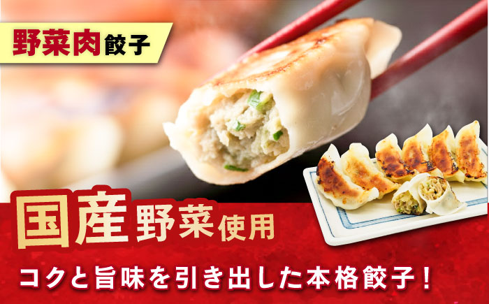 訳あり 本格餃子 100個セット 【株式会社オウモリ食品】 [AKHQ002]