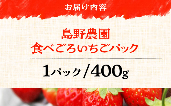 【先行予約】【数量限定40セット】島野農園のいちご（400g×1パック） 紅ほっぺ ほしうらら スターナイト 【島野農園】 [AKHV001]