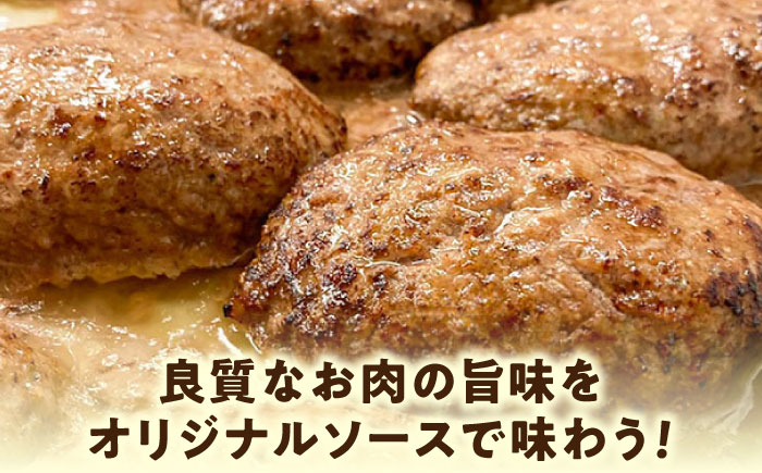 プレミアムハンバーグセット ソース入り20個 【有限会社横須賀松坂屋】 [AKCY002-2] ソース入り20個