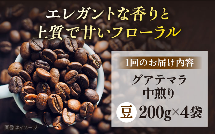 【全12回定期便】コーヒー豆 自家焙煎 中煎り グアテマラ 200g×4 TSUKIKOYA COFFEE ROASTER ツキコヤ【株式会社RUINS】 [AKAD015]