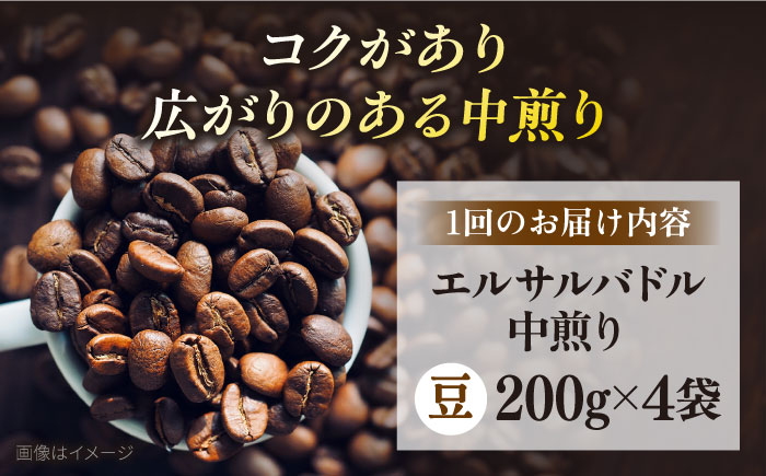 【全3回定期便】コーヒー豆 自家焙煎 中煎り エルサルバドル 200g×4 TSUKIKOYA COFFEE ROASTER ツキコヤ【株式会社RUINS】 [AKAD028]