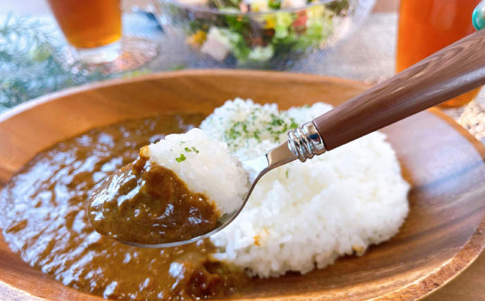よこすか海軍カレー 1人前200g×10個セット 2kg カレー レトルト【有限会社たのし屋本舗】 [AKAE022]