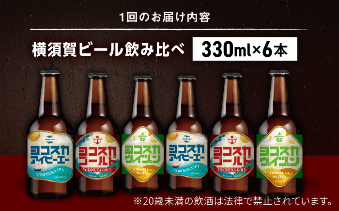 【全3回定期便】飲み比べ ビール 3種　6本セット （330ml瓶×計18本）クラフトビール 【有限会社たのし屋本舗】 [AKAE050]