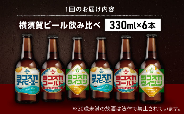 【全6回定期便】飲み比べ ビール 3種　6本セット （330ml瓶×計36本）クラフトビール 【有限会社たのし屋本舗】 [AKAE051]