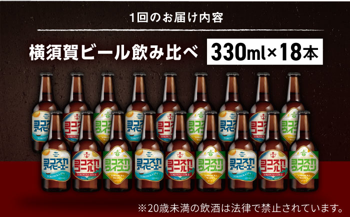 【全6回定期便】飲み比べ ビール 3種　18本セット （330ml瓶×計108本）クラフトビール 【有限会社たのし屋本舗】 [AKAE054]