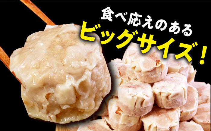 専門店の味 ジャンボ生焼売30個 お取り寄せグルメ 簡単 備蓄 中華 惣菜 業務用 仕送り プレゼント ギフト シュウマイ シューマイ【コロワイドMD神奈川工場】 [AKAH004]
