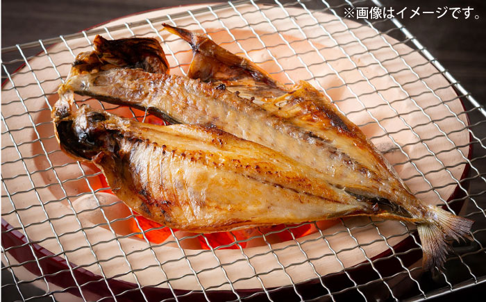 三浦半島 極上アジ干物 16枚 【長井水産株式会社】 [AKAJ022]