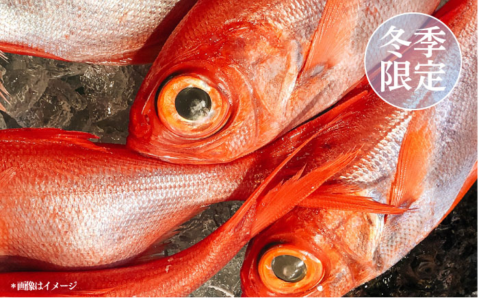 【先行予約】【冬季限定】下ごしらえ済 キンメダイ 約500～800g 鮮魚 処理済み 下処理済み【長井水産株式会社】 [AKAJ029]