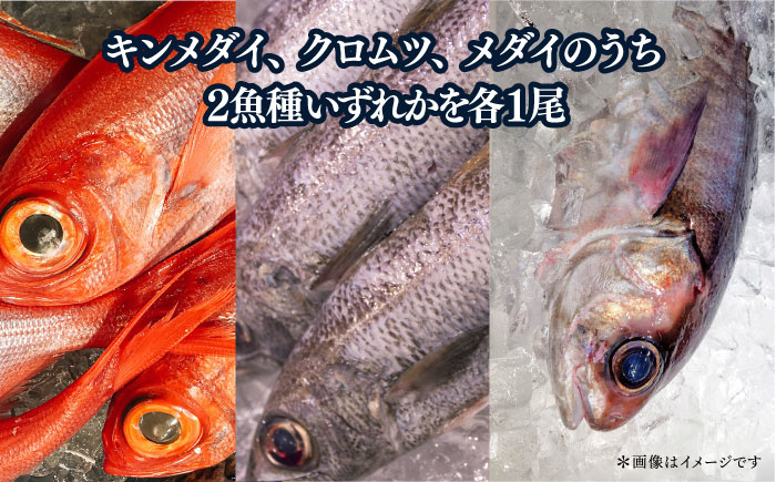 【先行予約】【冬季限定】下ごしらえ済 地魚セット 計2尾 鮮魚 処理済み 下処理済み キンメダイ クロムツ メダイ【長井水産株式会社】 [AKAJ032]