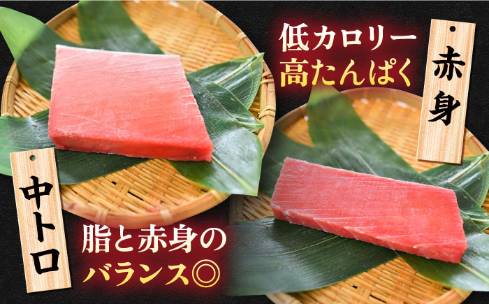 天然 まぐろ 大トロ・中トロ・赤身（約200ｇ×3柵）約600ｇ【横須賀商工会議所 おもてなしギフト事務局（本まぐろ直売所 横須賀本店）】[AKAK020]
