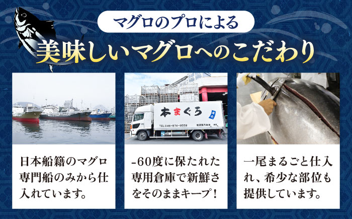 【年内発送の受付は12月24日まで！】【訳あり】天然 本まぐろ 中トロ（約450～500g（2柵入り）） 年内発送 【横須賀商工会議所 おもてなしギフト事務局（本まぐろ直売所 横須賀本店）】 [AKAK086]