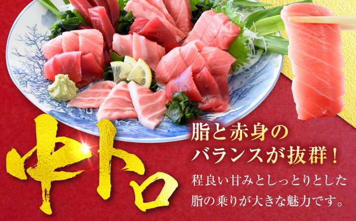 【年内発送の受付は12月24日まで！】天然 まぐろ 中トロ メバチ（約450～500g（2柵入り）） 年内発送 【横須賀商工会議所 おもてなしギフト事務局（本まぐろ直売所 横須賀本店）】 [AKAK094]