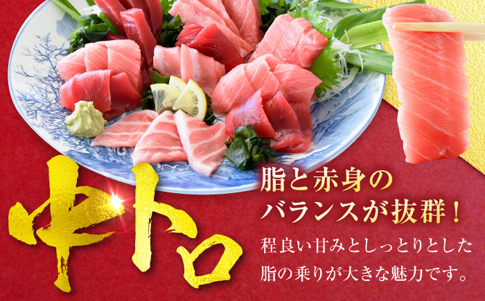 【年内発送の受付は12月24日まで！】天然 まぐろ 中トロ＆赤身 各1柵（計約450g） 年内発送 【横須賀商工会議所 おもてなしギフト事務局（本まぐろ直売所 横須賀本店）】 [AKAK115]