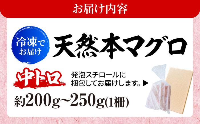 天然 本まぐろ 中トロ（約200～250g（1柵入り））【横須賀商工会議所 おもてなしギフト事務局（本まぐろ直売所 横須賀本店）】 [AKAK118]