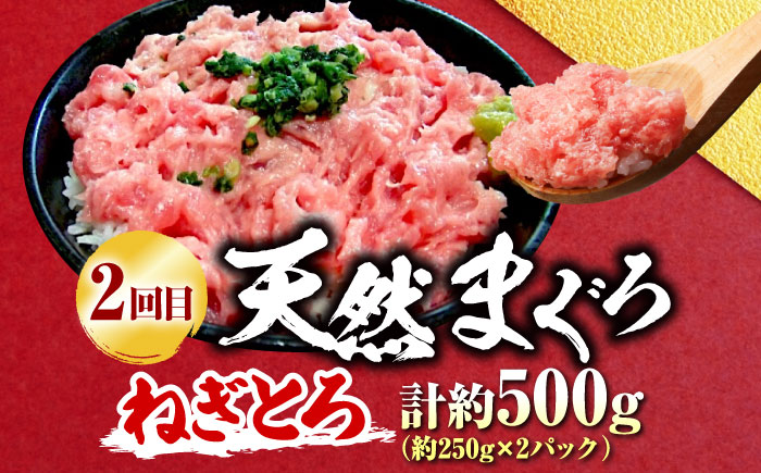 【全3回定期便】まぐろ 豪華 食べ比べ 定期便 【横須賀商工会議所 おもてなしギフト事務局（本まぐろ直売所 横須賀本店）】 [AKAK122]
