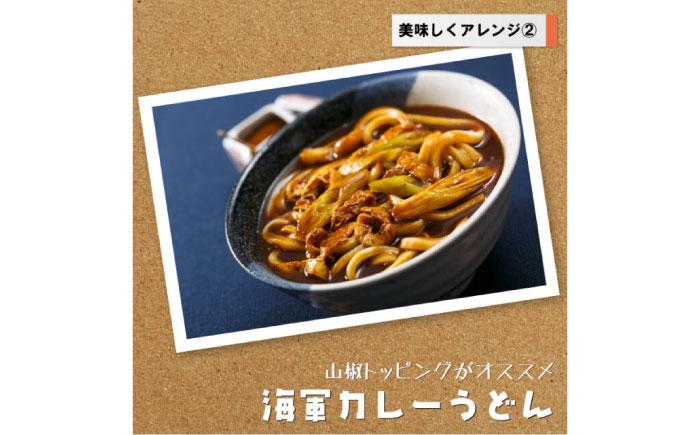 よこすか海軍カレー ネイビーブルーカレーフレーク 125g×53袋【横須賀商工会議所 おもてなしギフト事務局（株式会社調味商事）】 [AKAQ014]