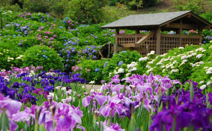 三浦一族ゆかりの地をタクシーで巡る 3時間コース2名様【芙蓉交通株式会社】 [AKAU002]