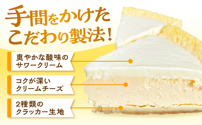 みっちゃんの手作りチーズケーキ ホール5個【横須賀商工会議所 おもてなしギフト事務局（みっちゃんの手作りチーズケーキ）】 [AKBH005]