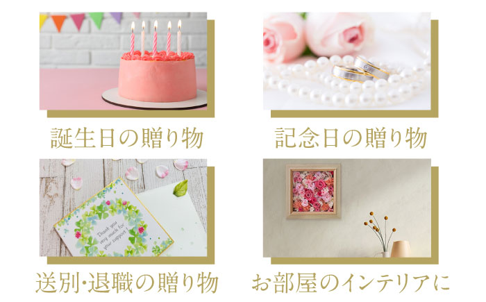 Flower Garden　額装花畑 プリザーブドフラワー 【株式会社日比谷花壇】 [AKBO011]