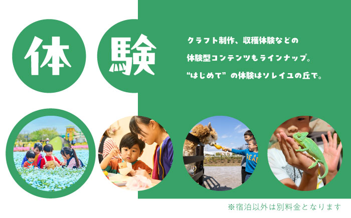 ソレイユの丘 海のキャビン宿泊チケット トレーラーキャビン1泊分 【株式会社日比谷花壇】 [AKBO016]