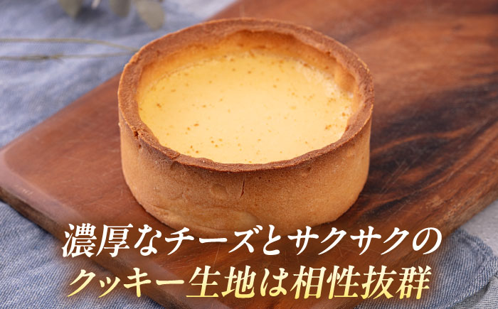 チーズケーキ 5号（15cm) 4～6人分 【日本水産観光株式会社】 [AKBR001]