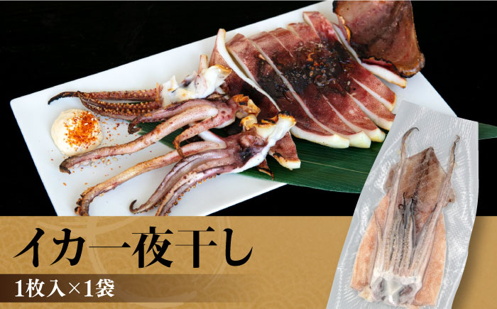 ひものセット（アジ、カマス、キンメ鯛、イワシ丸干し、イカ一夜干し、ワカシ西京漬、ワカシ粕漬）【株式会社ユニマットプレシャス】 [AKBZ005]