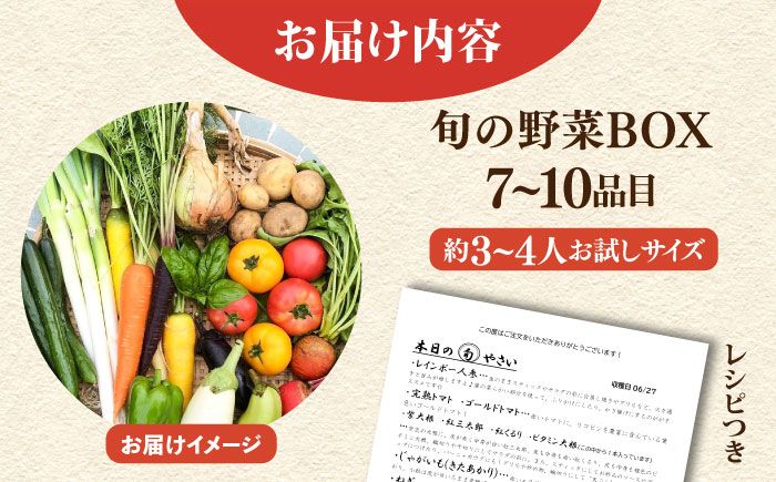すずなり採れたて野菜BOX（7～10品目）冬（12月～2月）【鈴也ファーム】 [AKCE003]
