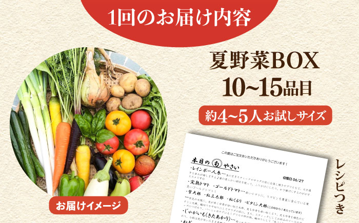 【先行予約】【全３回定期便】すずなり採れたて野菜BOX　(10～15品)　夏（5月～7月）【鈴也ファーム】 [AKCE005]