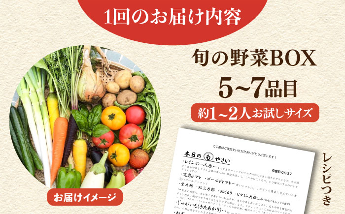 【全６回定期便】すずなり採れたて野菜BOX　(5～7品）【鈴也ファーム】 [AKCE012]