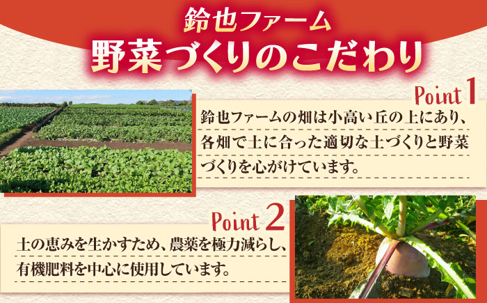 【先行予約】レインボー 大根 約2kg 【鈴也ファーム】 [AKCE015]