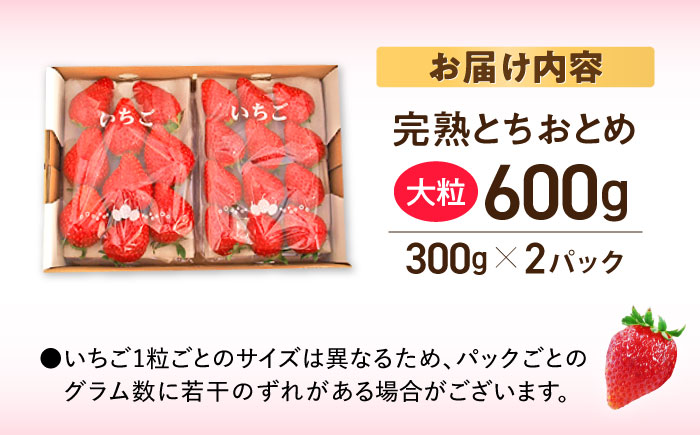 【先行予約】【数量限定100セット】嘉山農園の完熟大粒いちご とちおとめ（300g×2パック）【いちごはうす嘉山農園】 [AKCO001]