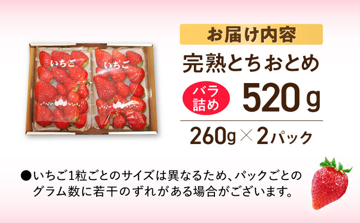【先行予約】【数量限定200セット】嘉山農園の完熟バラ詰めいちご とちおとめ（260g×2パック）【いちごはうす嘉山農園】 [AKCO002]