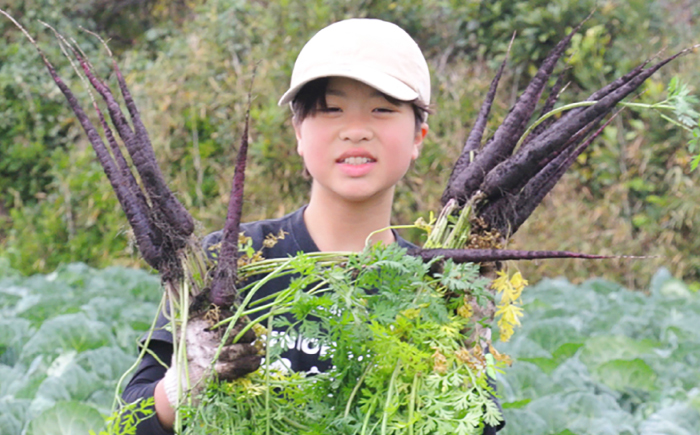 横須賀紫にんじんドレッシング 200ml×10本セット【グローカルデザインスクール 株式会社横須賀ジュニアビレッジ】 [AKCP002]