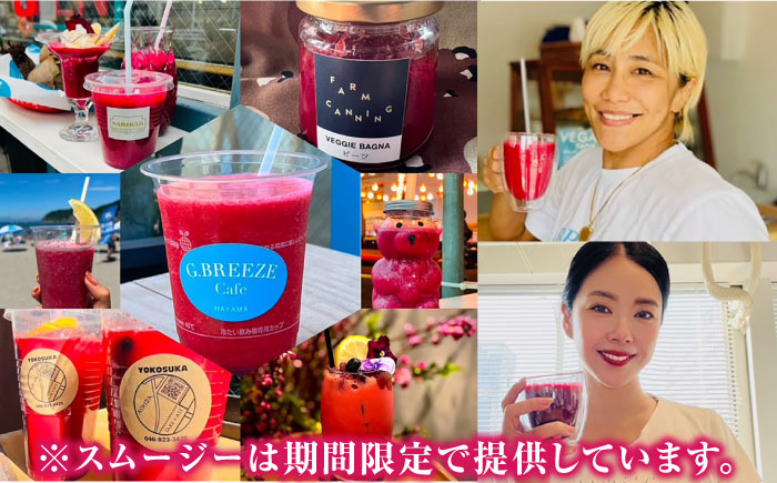 【全12回定期便】横須賀BASEビーツ 10kg（1kg×10袋）【ゆり子ファーム】 [AKCR012]