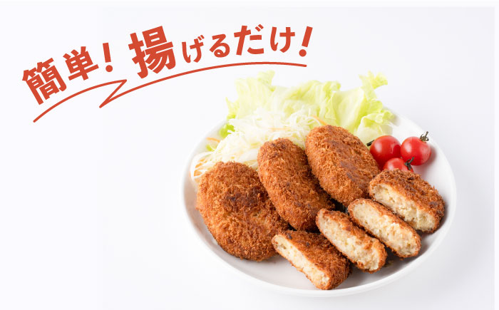 冷凍コロッケ　20個入り 【有限会社横須賀松坂屋】 [AKCY015]