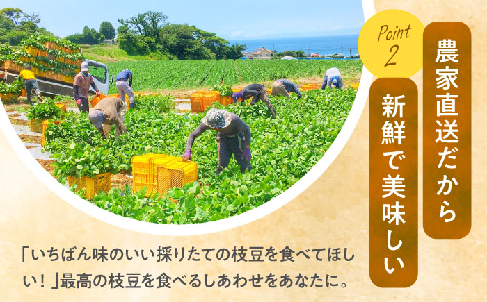 【先行予約】【数量限定100セット】はねっ娘枝豆 3kg（300g×10袋）【有限会社岩崎ファーム】 [AKCZ002]