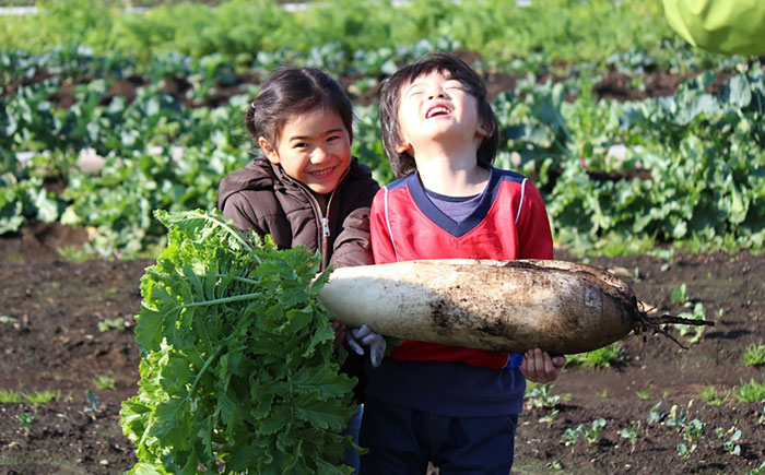 三浦半島の野菜収穫体験【株式会社シテコベ】 [AKDQ001]